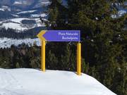 Signposting mogul slope