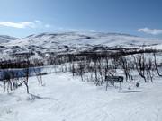 View from the Rakkas lift over the Björkliden ski area