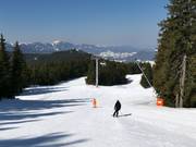 Ski resort of Pamporovo