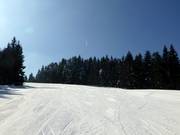The slope on the Notschrei is ideal for carving