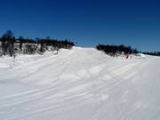 Practice slope Tussebakken