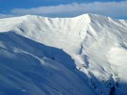 View of the off-piste area from Sillerenbühl