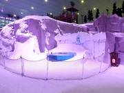 Tip for children  - Snow Penguin Program