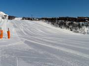 Downhill run Mor Åse