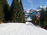 Valley run from Walmendingerhorn