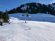 Slopes at the 6-seater chairlift Schrattenwang
