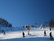 Intermediate: Slope at the Oberer Wilddieblift