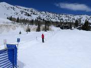 Alta Lodge Tow - Rope tow/baby lift with low rope tow