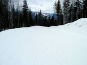 Easy slope The Last Spike