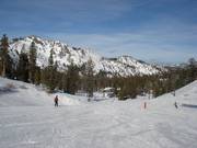 Descents to the Base Area Alpine Meadows