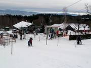 Forsthauslift 2 - T-bar