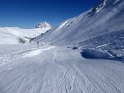 Kogel-Mogel wave track