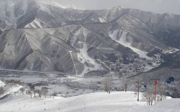 Japanese Alps: Test reports from ski resorts – Test report Naeba (Mt. Naeba)
