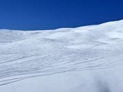 Deep powder slopes at Lauberhorn