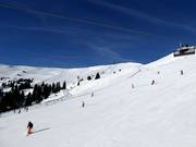 View of the slopes at Großer Asitz in Leogang