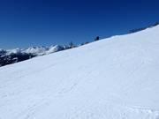 Very good slope grooming