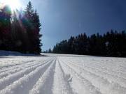 Very good slope grooming