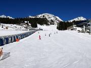 Sunny Mountain Adventure Park