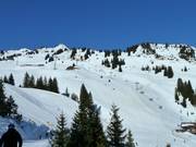 View from the middle upwards