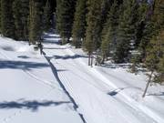 Trail in Big Sky Resort