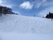 Difficult mogul slope Across B