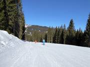 Easy slope Pozza Vecia