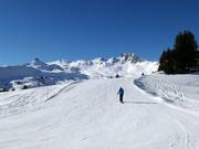 Descent between Leist and Panüöl