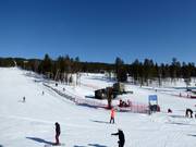 Practice area South Point