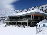 Gastronomy tip Albion Grill