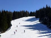 World Cup Women's Downhill on the Planai