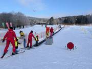 Fox park pás F1 - People mover/Moving Carpet