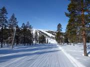 Easy slope in Östra Tandådalen