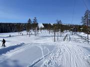 Easy slopes at the Trolliften