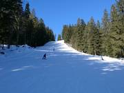 Intermediate slope at the chairlift