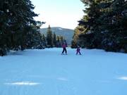 Descent at the Predigtstuhl II drag lift