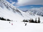Slope at the Collins chairlift