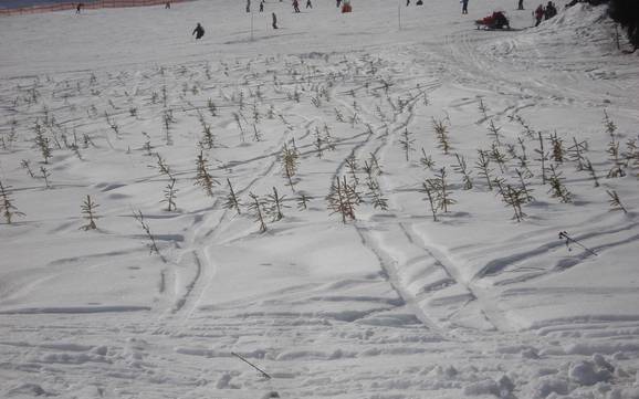 South Bohemian Region (Jihočeský kraj): environmental friendliness of the ski resorts – Environmental friendliness Lipno