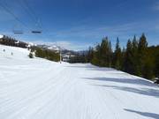 Easy slope Pony Express