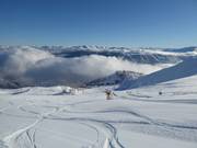 Fresh snow at Pla d'Adet