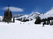 Easy slope at the Sunnyside chairlift
