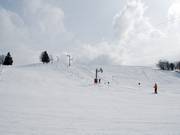 Easy slope in Crest Voland