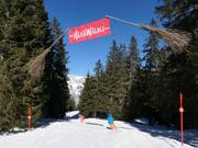 Tip for children  - HäxäWäldli adventure slope