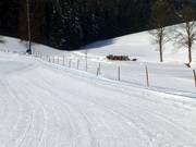 Übungslift Schneeberg - Rope tow/baby lift with low rope tow