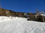 Blue slope towards Gloneralm Flachauwinkl