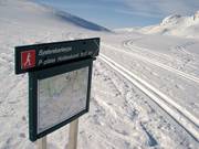 Access to the cross-country trail