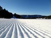 Perfectly groomed slope in the Les Angles ski resort
