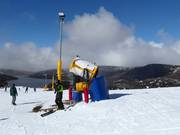 High-performance snow cannon in Falls Creek