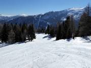 Family Slope Moserkopf