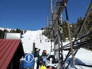 Kneževske bare - J-bar