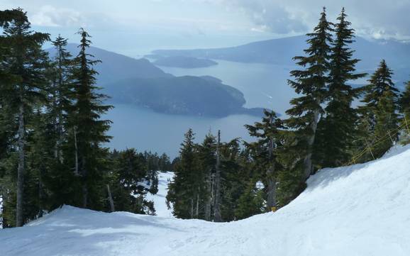 Best ski resort in Metro Vancouver – Test report Cypress Mountain